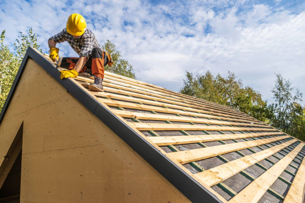 Best Gutter Installation and Roofing  in Nitro, WV