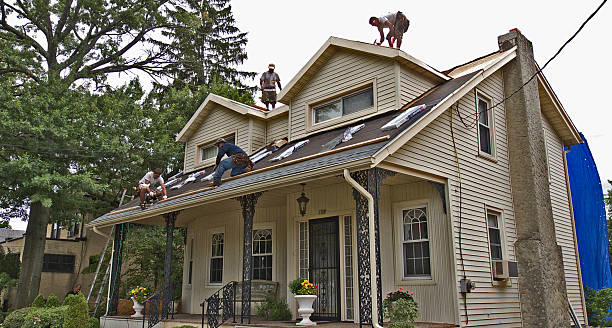 Best Emergency Roof Repair  in Nitro, WV