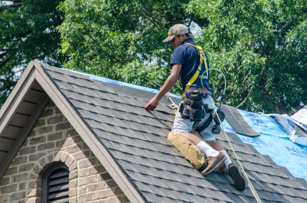 Best Storm Damage Roof Repair  in Nitro, WV